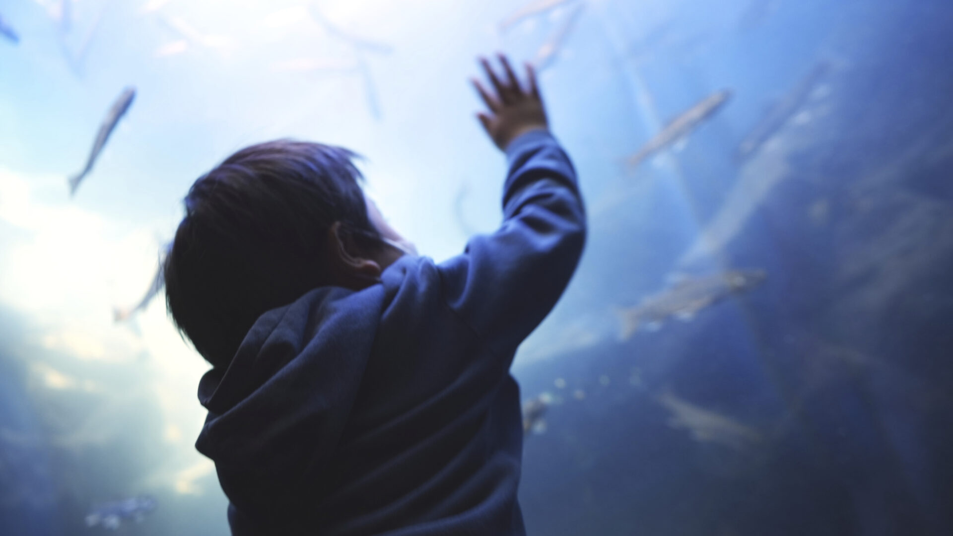 2022-5-5 はやと水族館 233 ポートフォリオサイト用