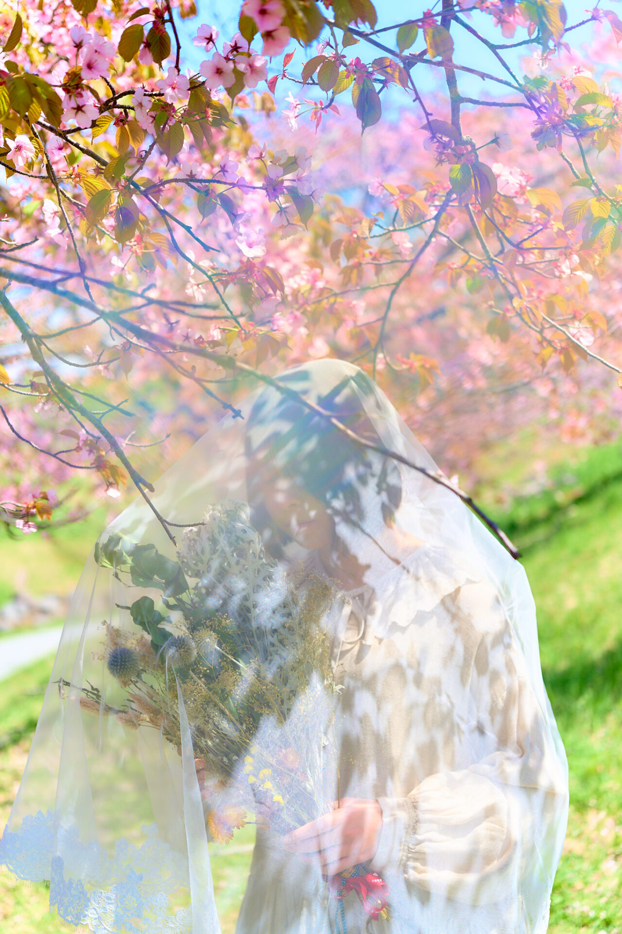 2026-05-12 八木さん桜撮影 96